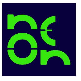 Logo empresa Neon