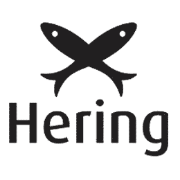 logo da empresa Hering Store